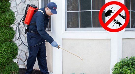Akçadağ Böcek ve Haşere İlaçlama böcek ilaçlama ve haşere kontrolü — ilaclama-tr.com